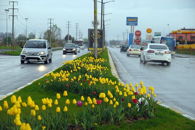 Sakarya'da Lale Devri