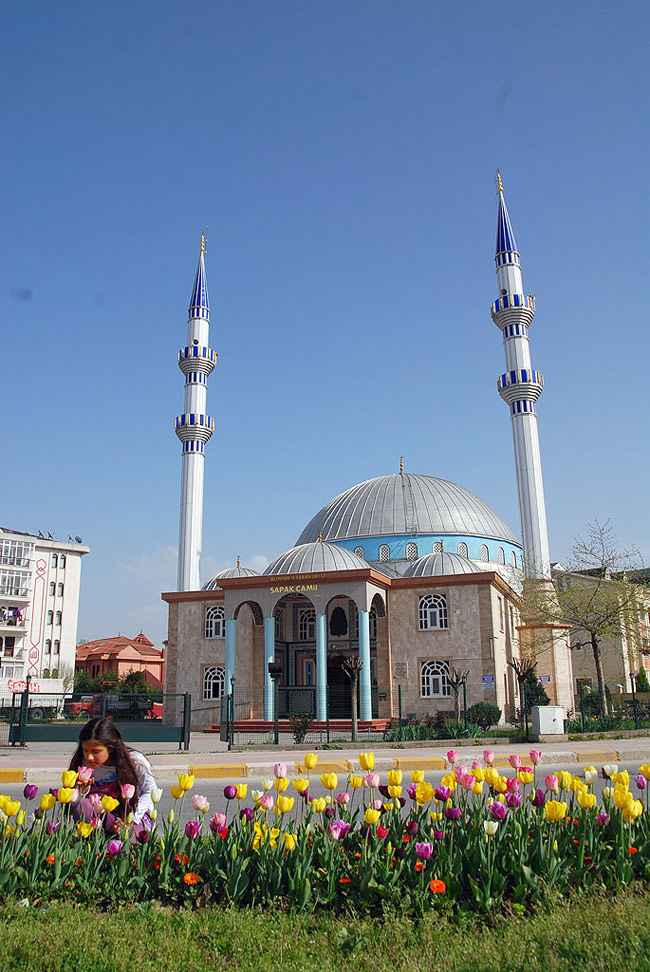 Sakarya'da Lale Devri