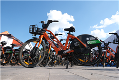 2025’te Sakarya’da TUBİS, SAKBİS ve TRİPY’ye yoğun ilgi