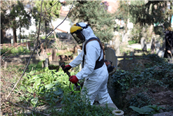 Büyükşehir 16 ilçeyi ‘bayramın en vefalı ziyaretine’ hazırlıyor