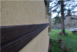 Evi görünce terk etmeyi düşündü: Binlerce kokarcanın istila kabusunu TUTSAK bitirdi