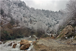 Akçay ile Sakarya Kazanacak