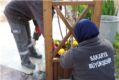 Sakarya bayram için Büyükşehirle çiçek açtı: Bayramı da baharı da rengarenk karşılıyor
