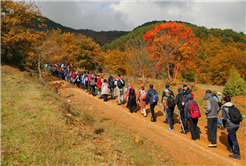 Doğa Tutkunları Taraklı’da Yürüyecek