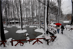 4 mevsim orman keyfi burada