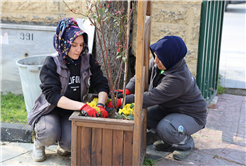 Sakarya bayram için Büyükşehirle çiçek açtı: Bayramı da baharı da rengarenk karşılıyor