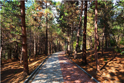 Sapanca Gölü kıyısında ‘huzur veren’ doğa projesi kapılarını açtı