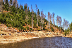 Doğaseverler Büyükyayla’daydı