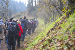 Sonbahar Doğa Yürüyüşleri sona erdi