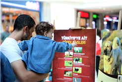 Büyükşehir ekipleri çocuklarla buluştu Pati Festivali renkli görüntülere sahne oldu