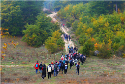 Yaylalardan longoz ormanlarına: Sakarya’da doğayla iç içe sonbahar