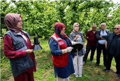 Büyükşehir 2025’te çiftçinin toprağına umut ekti
