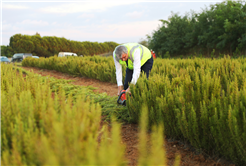 Sakarya ticaretin önemli bir durağı olacak