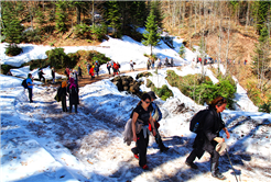 Doğaseverler Büyükyayla’daydı