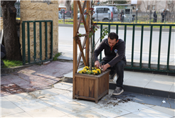 Sakarya bayram için Büyükşehirle çiçek açtı: Bayramı da baharı da rengarenk karşılıyor