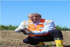 Ata Tohumları toprakla buluşturuldu