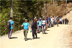 Pamukova ve Sapanca’da doğa ile iç içe yürüyüş