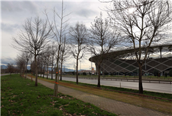 Büyükşehir’in ‘Yeşil Şehir’ vizyonu sahada: 3 ayda 2 bin 500 ağaç toprakla buluştu