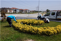 Park ve yeşil alanlarda bahar temizliği