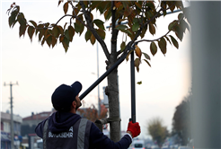 Sakarya’nın yeni yeşil ve yaşam alanları her geçen gün artıyor