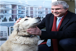 “Büyükşehir Belediyesi 17 bin metrekarelik Rehabilitasyon Merkezi ile sokakta yaşayan canlılara yuva olacak”