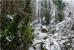 Beyaz örtü Sapanca Gölü’nü besleyen derelere can oldu