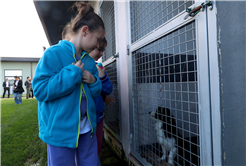 Büyükşehirle unutulmaz bir gün: Can dostların yaşam serüveni, bir yudum suyun önemi ve maceraya yolculuk