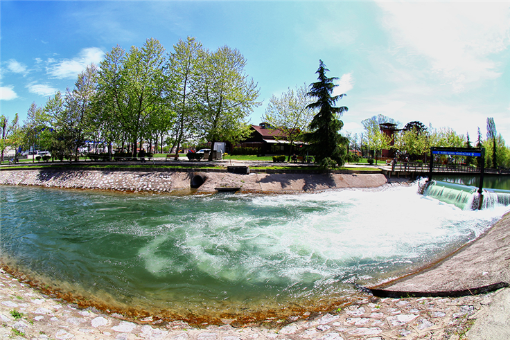 Doğal yaşamın güzelliği