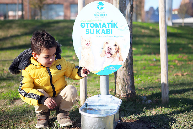 Büyükşehir can dostların hep yanında