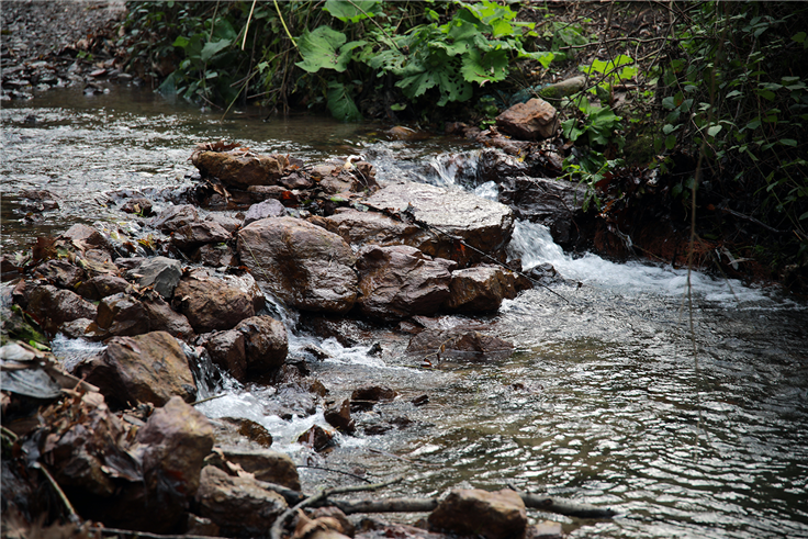 Hendek’in iki mahallesi kaynak suyu içecek